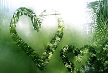  国际米兰最新比赛消息 